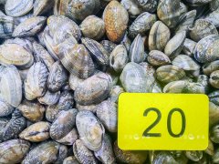 雜色蛤的加工做法