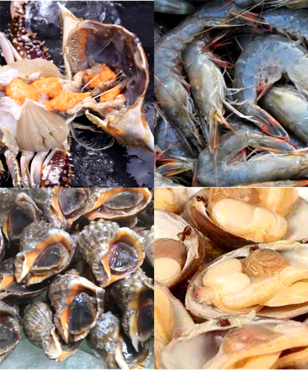 未標??3.jpg 未標??3.jpg