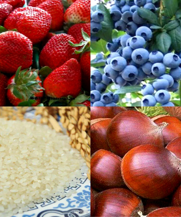 未標??4.jpg 未標??4.jpg