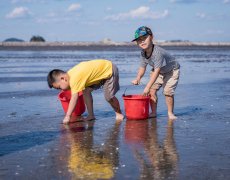 真空花蛤——餐桌上的美味海鮮
